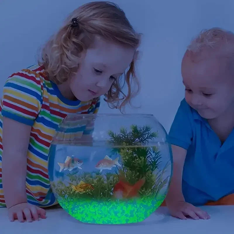Glow in the Dark Pebbles – 1000pcs Garden & Aquarium Decor
